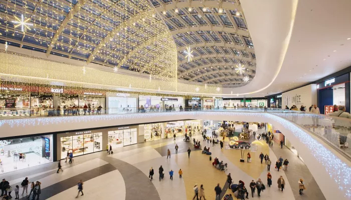 Ракшины могут приобрести гигантский торговый центр в новой Москве