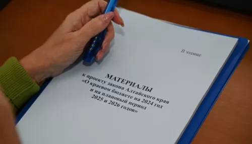 Можем позволить сейчас: депутаты приняли бюджет Алтайского края на 2024 год