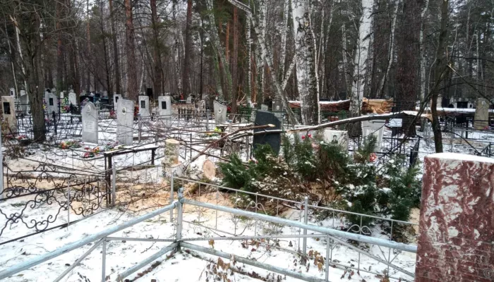 В Барнауле продолжают убирать городские кладбища после удара стихии