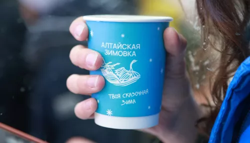 В Барнауле отменили Алтайскую зимовку в парке Центральный
