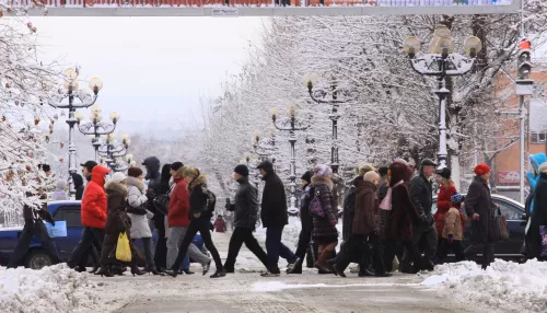 От -7 до +7 и временный снежный покров: какая погода будет в Алтайском крае 24 апреля