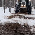 В Алтайском крае очистили почти 20 тысяч гектаров лесосек
