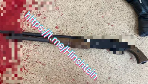 Хинштейн показал ружье, из которого девочка стреляла по школьникам в Брянске