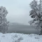 Прителецкую тайгу после потепления накрыла настоящая морозная зима