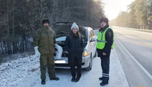 В Алтайском крае автомобиль заглох в мороз на трассе