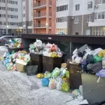 Как победить переполненные мусорные площадки: инструкция для барнаульцев