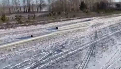 В Алтайском крае нашли снегозадержание за 5 млн рублей, которое лежит в поле