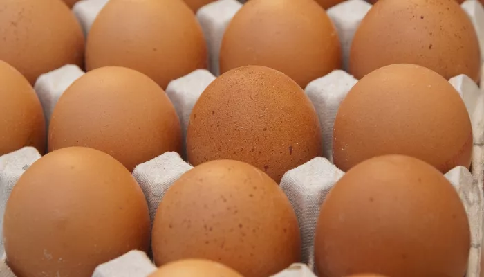 Цены на куриные яйца упали более чем на 12% с начала года