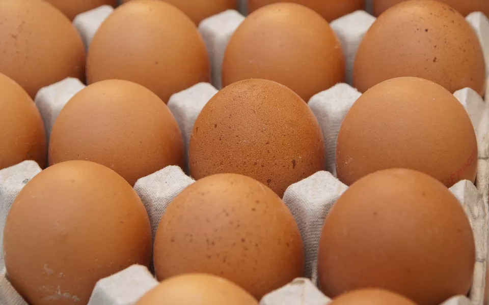 В Алтайском крае растут цены на яйца перед Пасхой