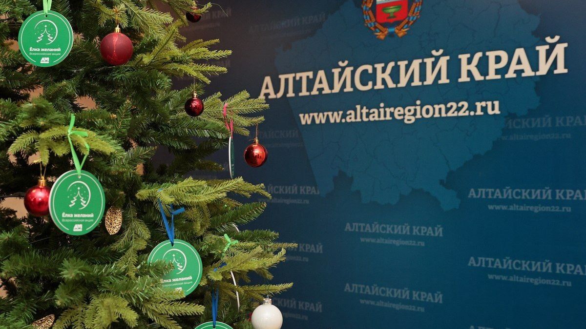 Акция "Елка желаний" в Алтайском крае