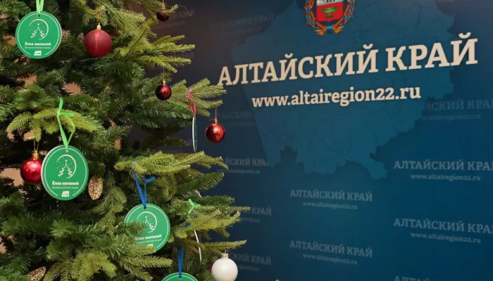 Исполни мечту: в Алтайском крае стартовала Елка желаний