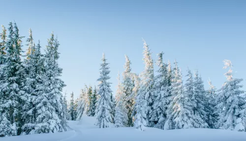 Потепление со снегом, метелями и ветром пришло в Алтайский край