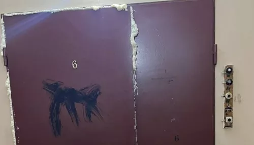 Двум военкорам залили монтажной пеной двери квартир в Санкт-Петербурге