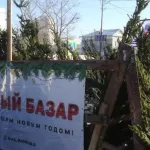 В Барнауле заработали полсотни легальных елочных базаров
