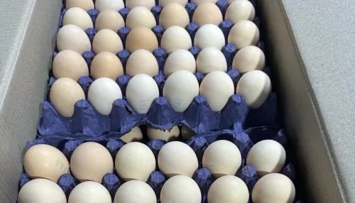 Более полумиллиона куриных яиц из Азербайджана завезли в Россию