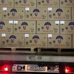 Покупатели не дождались импортных яиц на полках российских магазинов
