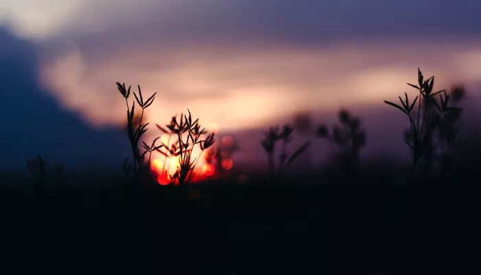 Меньше семи часов. Какого числа будет самый короткий день в 2025 году