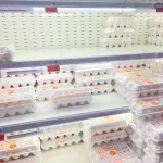 В Алтайском крае больше всего подскочили в цене яйца, мясо и овощи