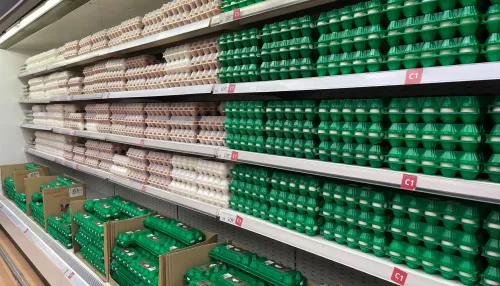 В Алтайском крае увеличились продажи яиц и другой сельхозпродукции