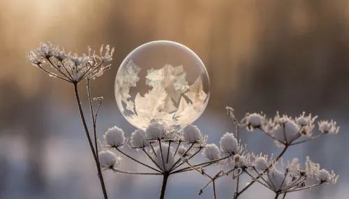 Фотограф из Новосибирска поделился красивейшими фото замерзших мыльных пузырей