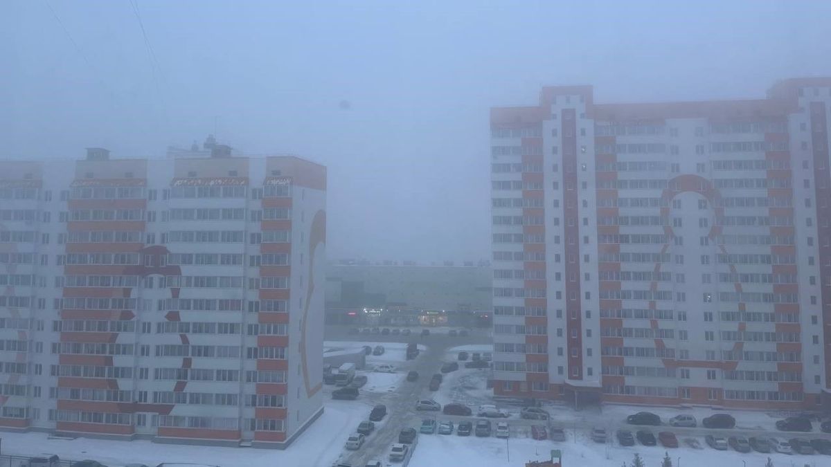 Туман в Барнауле 24 декабря