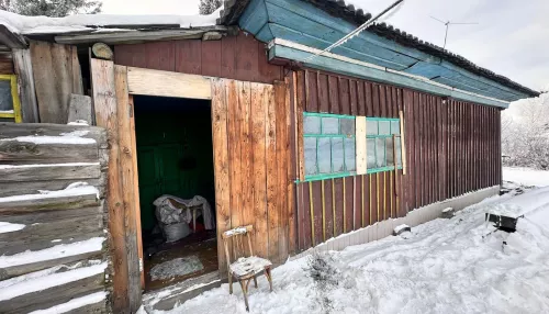 В Алтайском крае 7-летний мальчик насмерть отравился угарным газом