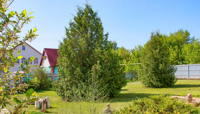 В пригороде Барнаула продают землю, чтобы вырастить новый коттеджный поселок