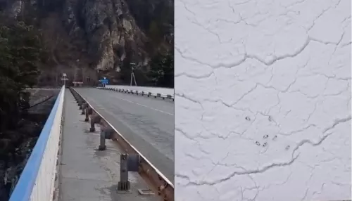Житель Алтая сбросил с моста на лед семерых щенков