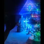 Житель Алтайского края превратил двор своего дома в новогоднюю сказку