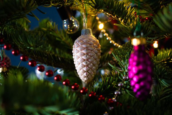 Правила щедрого вечера накануне Старого Нового года. Народные приметы 13 января