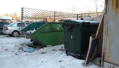 Жители многоэтажки Барнаула вынуждены сами убирать мусор вместо УК