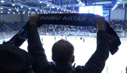 Хоккеисты Динамо-Алтай выиграли тяжелый поединок с воронежским Бураном