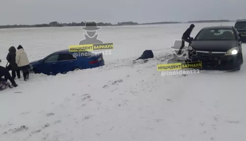 В Топчихинском районе автомобиль съехал в кювет и сбил двух человек