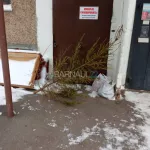 Жители Барнаула начали избавляться от новогодних елок