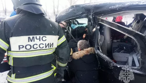 В МЧС поделились подробностями массовой смертельной аварии в Алтайском крае