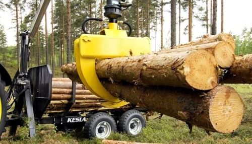 Контроль за вырубкой леса ужесточат в России