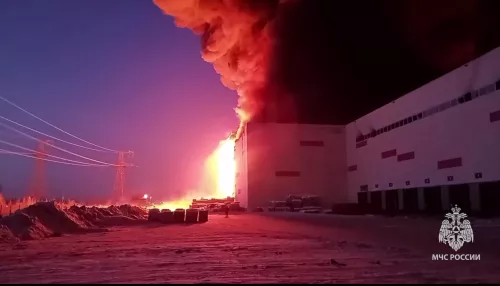 Ущерб от пожара на складе Wildberries может превысить 10 млрд рублей