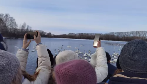 Более 10 тысяч туристов посетили алтайское лебединое озеро на Новый год
