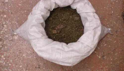 В Бийске у судимого слесаря нашли и изъяли мешок конопли