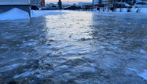 В Алтайский край после оттепели пришли 20-градусные морозы