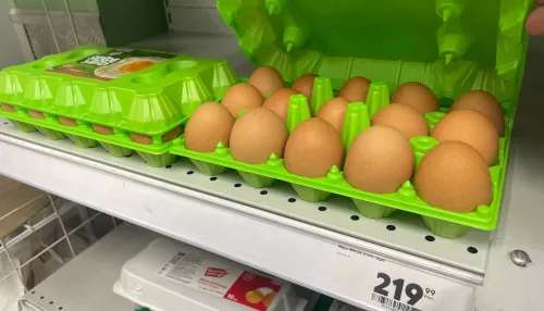 Ищут дешевле и меньше покупают: что говорят барнаульцы о ценах на яйца и курицу