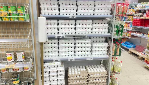 Правда ли, что в России подешевели яйца, и за сколько сейчас можно купить десяток