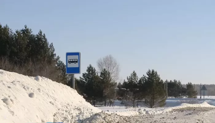 Жители трех сел в Алтайском крае остались без единственного автобуса