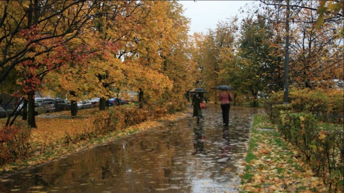 Дождь, снег и ветер: погода в Алтайском крае 17 октября