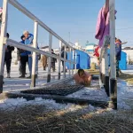 Спасатели и моржи рассказали, как купаться на Крещение и не заболеть