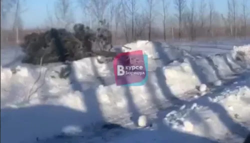 Соцсети: в барнаульском поселке снегоуборочный трактор повалил сосны