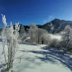 Фотограф показал, как парит Телецкое озеро в крепкие морозы