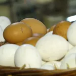 Барнаульцы затягивают пояса на фоне роста цен на яйца