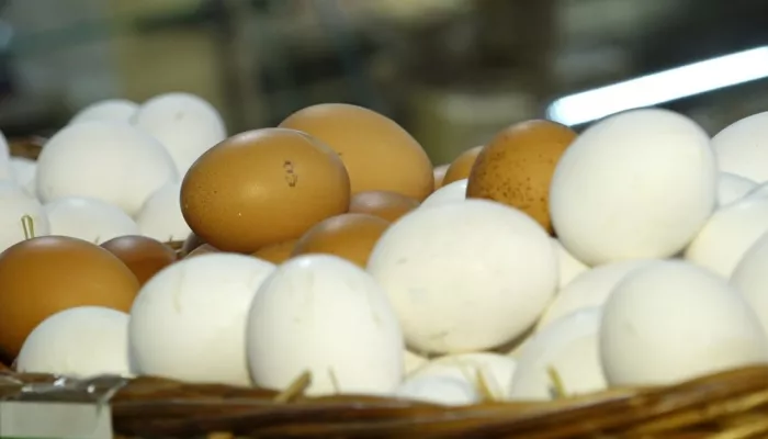 Цены на яйца выросли в Алтайском крае перед Пасхой