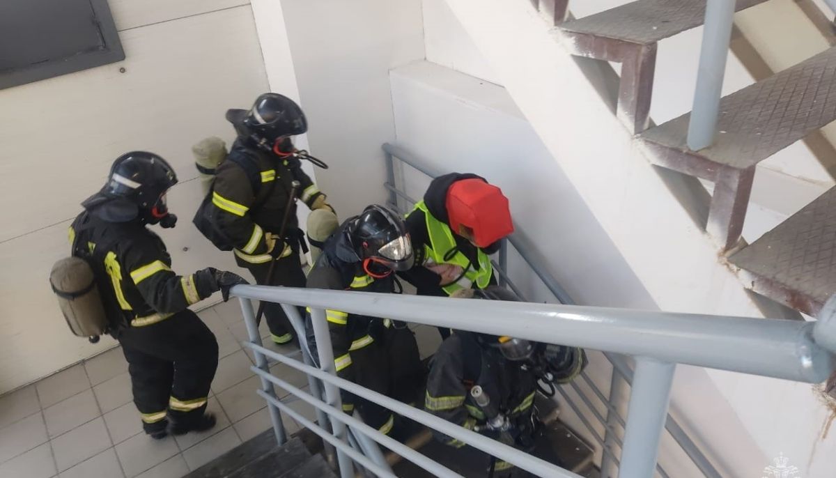 Приговор суда. Полиция скрутила дебошира в россии. Дебошир 4. Задержание дебошира в самолете в америке. Дебошир 4.